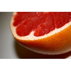 Dwarf Ruby Red Grapefruit Trees 1 Plants Citrus paradisi fruit
